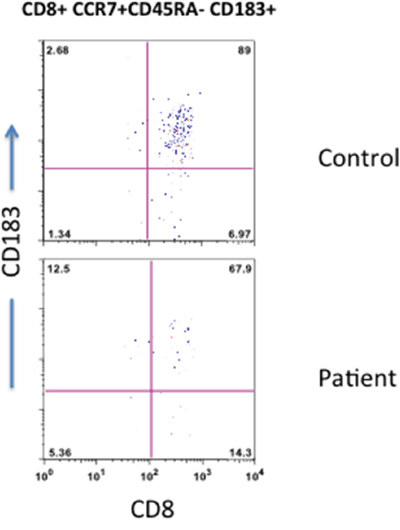 CD8 Treg cells.