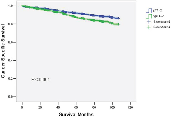 Cancer specific survival curves in yT1-2 and ypT1-2 rectal cancer patients.