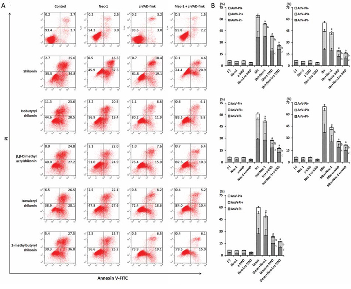 Modes of cell death induced by shikonin and its derivatives in U937 cells.