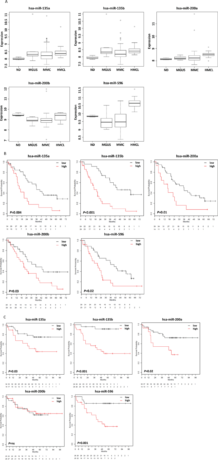 miRNAs associated with survival.