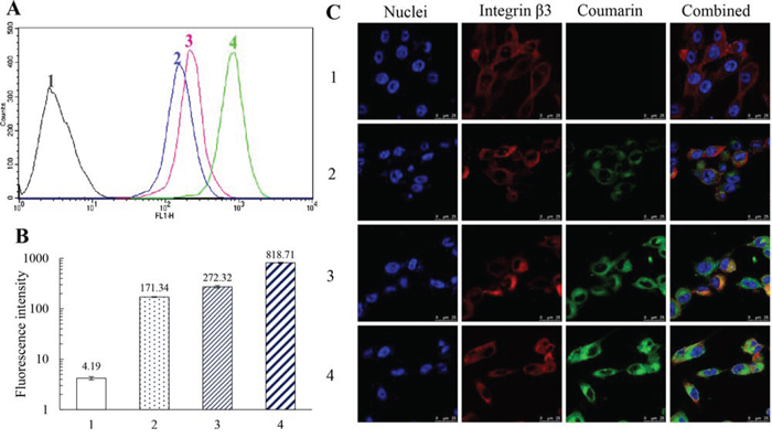 Cellular uptake by MDA-MB-231 cells and targeting effect of functional coumarin liposomes.