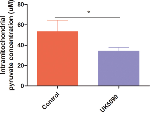 UK5099 blocked pyruvate transportation into mitochondrial in LnCap cells in vitro.