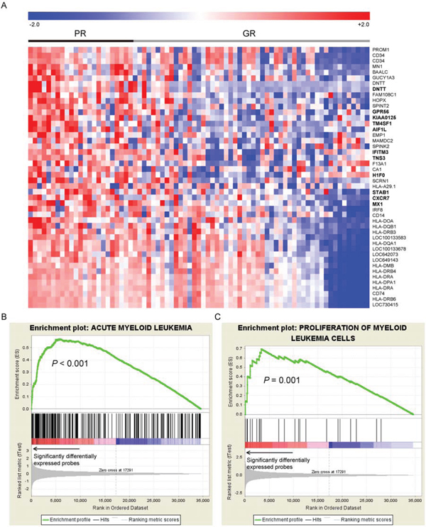 A. The heatmap of the 46 differential expressed probes between the 19 patients with poor response (PR group) to the first induction chemotherapy and the 56 achieving continuous complete remission (GR group).