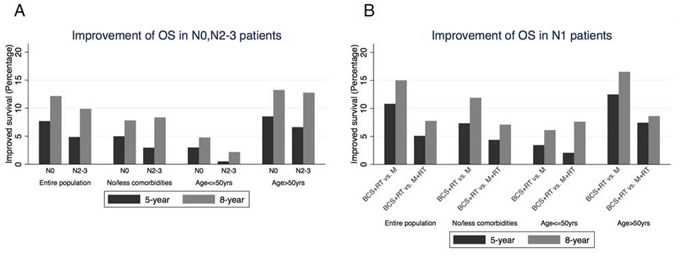 A. Improvement of OS in N0, N2&#x2013;3 patients. The benefit of 5-year and 8-year OS was calculated by comparing BCS+RT with mastectomy alone in N0 patients, and with mastectomy+RT in N2&#x2013;3 patients.