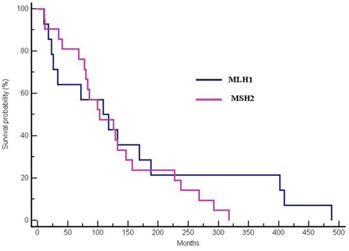 Differences in OS between MLH1 and MSH2-mutated patients (median OS 117.96 months for MLH1-mutated vs 102.62 months for MSH2-mutated patients, p = 0.42; HR:0.77; 95% CI 0.36&#x2013;1.52).
