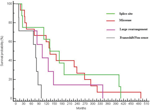 Differences in OS between patients with different types of mutations (OS of 132.46 months in patients with a missense mutation, 150.46 months for patients with a splice-site mutation, 102.62 months for patients with a large rearrangement and 77.31 months in patients with a frameshift or non-sense mutation; p = 0.0224).
