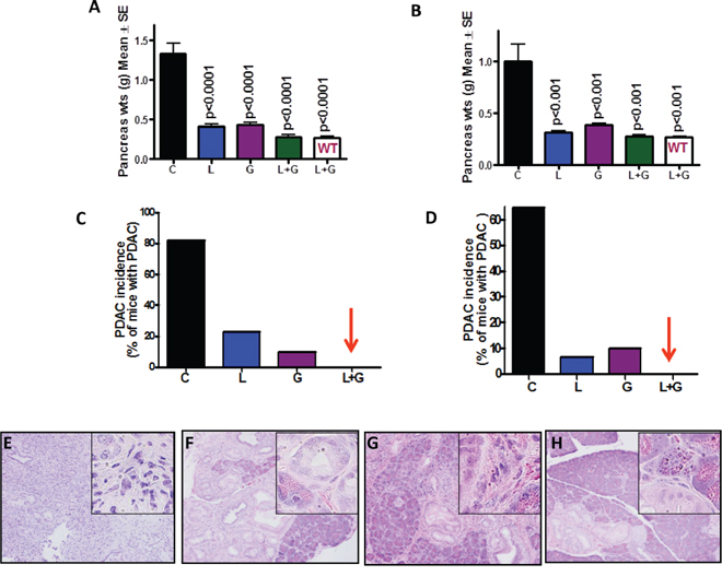 Effect of L, G and L+G on pancreatic tumor weights and PDAC incidence.