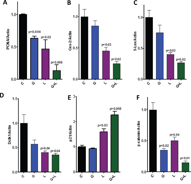 Effect of L, G, and L+G on protein expression of PCNA, COX-2, 5-LOX, DclK1, p21, and &#x03B2;-catenin, as determined by western immunoblotting.
