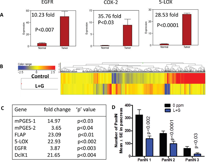 Impact of combination treatment on transcriptomic gene changes.