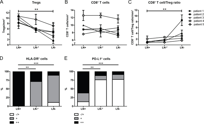 Frequencies of immunosuppressive cell subsets in tumor positive lymph nodes (LN+), proximal (to the LN+) uninvolved lymph nodes (LN-*) and more distal uninvolved lymph nodes (LN-) from patients with cervical cancer.