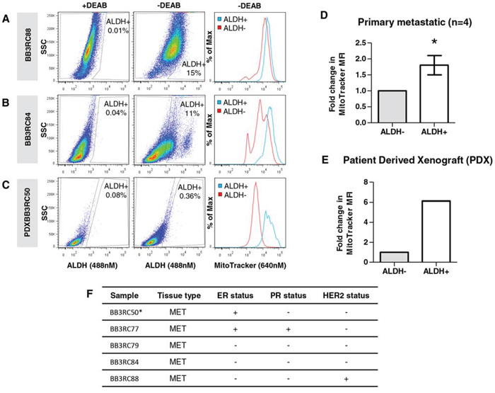 Mitochondrial mass correlates with ALDH activity in primary breast cancer cells isolated from metastatic breast cancer samples and a patient derived xenograft.