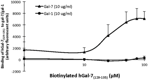 Biotin-labeled hGal-7(129&#x2013;135) is capable of binding to recombinant hGal-7.