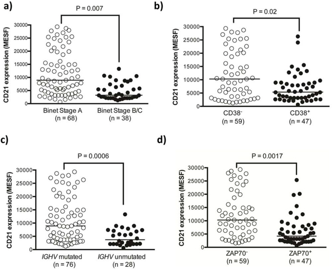 CD21 expression was significantly lower in high-risk prognostic sub-groups of CLL patients.