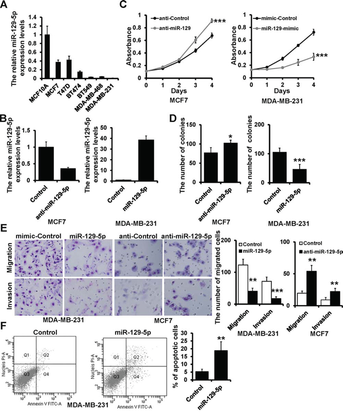 miR-129-5p suppresses breast cancer cell proliferation, migration and invasion.