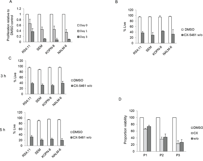 Transient inhibition of rRNA synthesis affects cell proliferation.