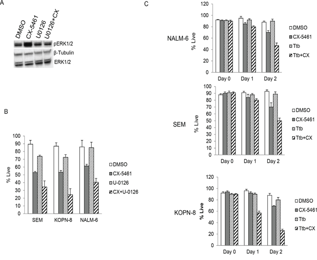 MEK1/2 inhibitors enhance cytotoxicity of CX-5461.