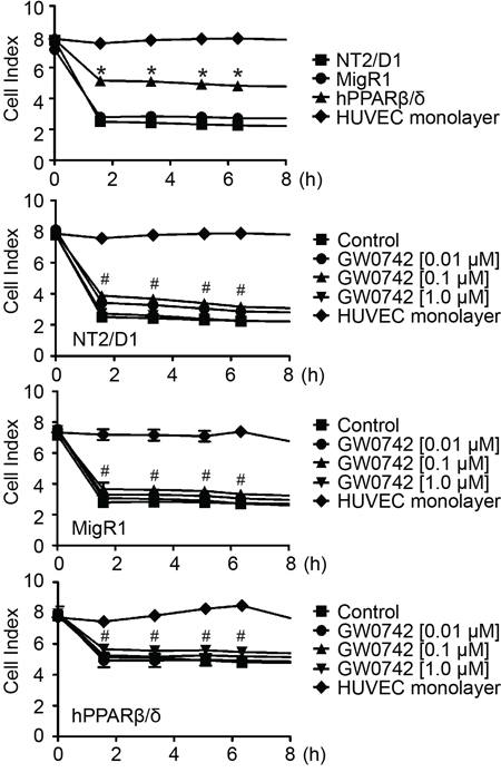 Over-expression of PPAR&#x03B2;/&#x03B4; decreases testicular cancer cell invasion of a HUVEC monolayer.