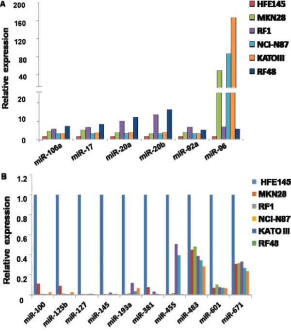 MiRNAs upregulated and downregulated in all 5 gastric cancer cell lines by microRNA microarray.
