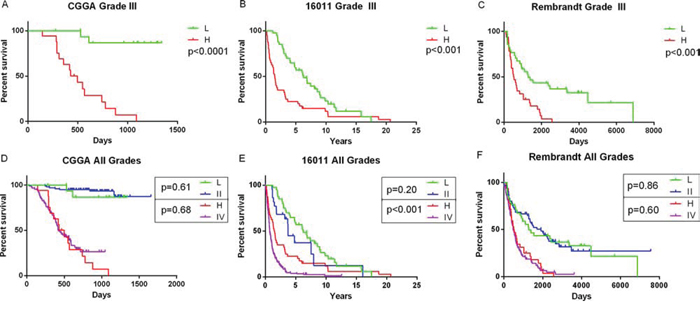 Prognostic value of the signature in training and validation sets and the grade II and grade IV like properties of anaplastic gliomas.