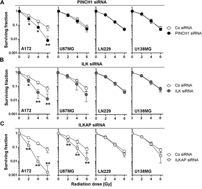 Depletion of PINCH1, ILK or ILKAP differentially radiosensitized human glioblastoma cell lines.