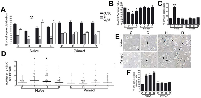 Biological effects of senescent MSC secretomes on myeloma cells.