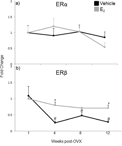 mRNA expression of estrogen receptor isoforms in the hypothalamus after increasing lengths of ovarian hormone deprivation.