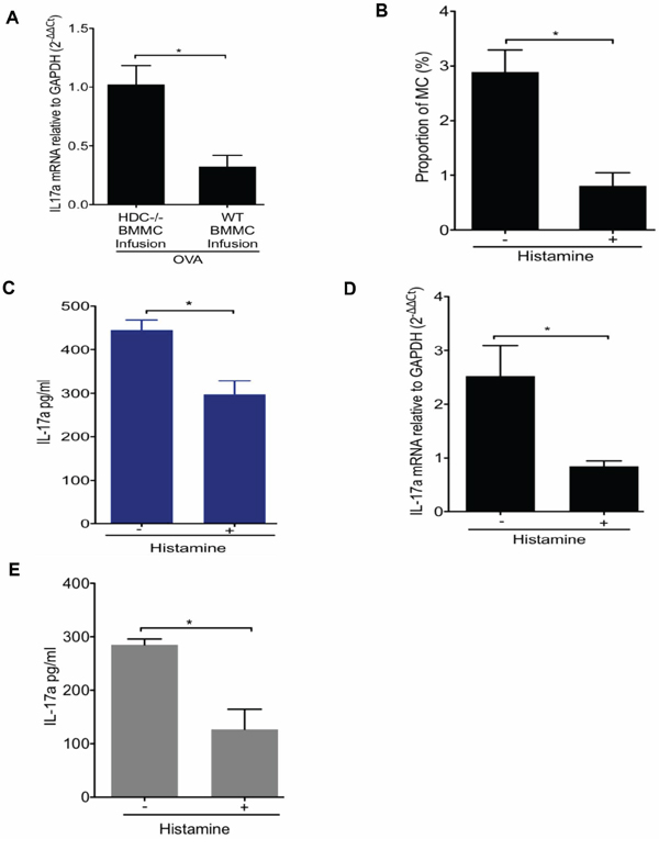 Effect of histamine on the regulation of IL-17-secreting MC.