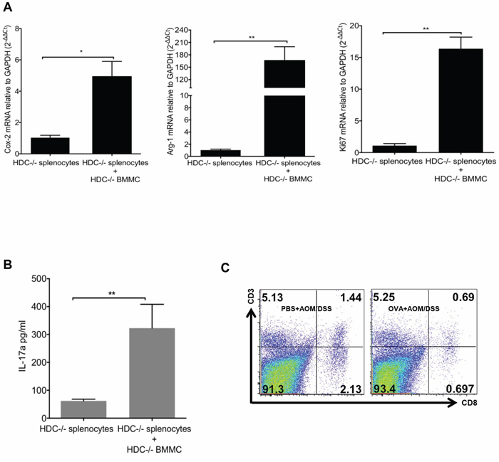 MCs support CD11b+Gr1+ MDSCs immunosuppression.
