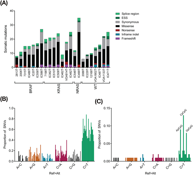 Exome sequencing summary.