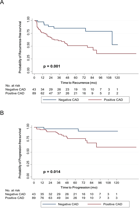 Kaplan&#x2013;Meier survival curves for recurrence-free survival A. and progression-free survival B. according to caldesmon (CAD) expression.