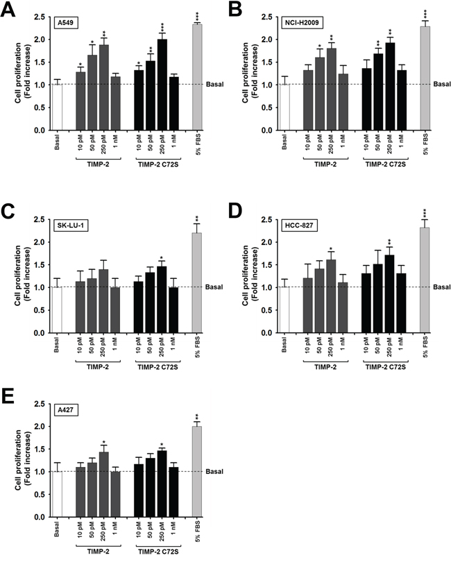 Effect of TIMP-2 or TIMP-2 C72S on the proliferation of several lung adenocarcinoma cell lines.