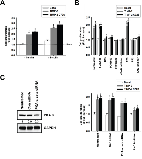 Effect of insulin and signaling inhibitors on TIMP-2 or TIMP-2 C72S-induced A549 cell proliferation.