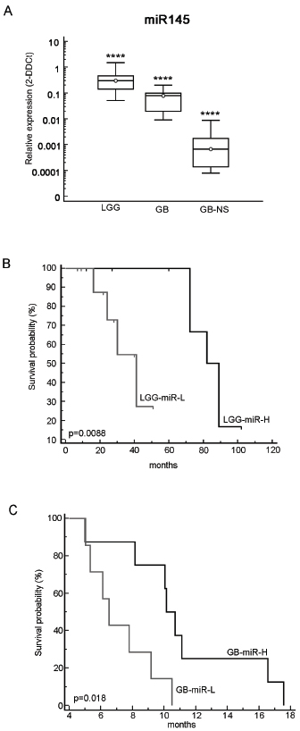 Characterization of miR-145 in malignant gliomas.