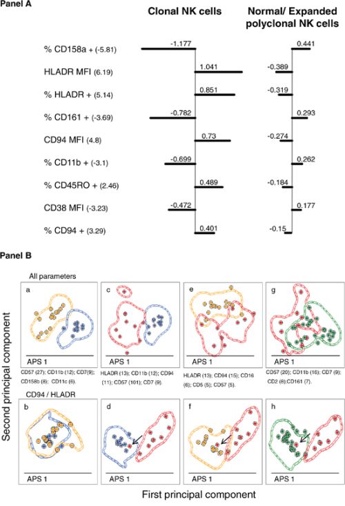 Identification of the most relevant phenotypic markers contributing to the discrimination between normal/polyclonal and monoclonal peripheral blood CD56low NK cells.