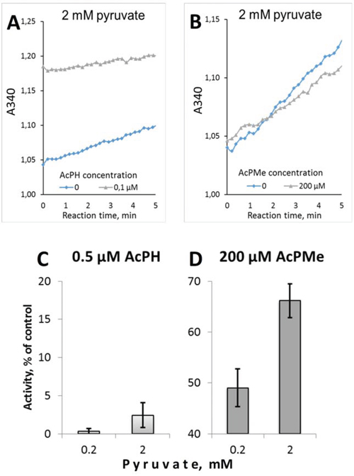 Irreversibility of PDHC inhibition upon preincubation with AcPH and AcPMe.