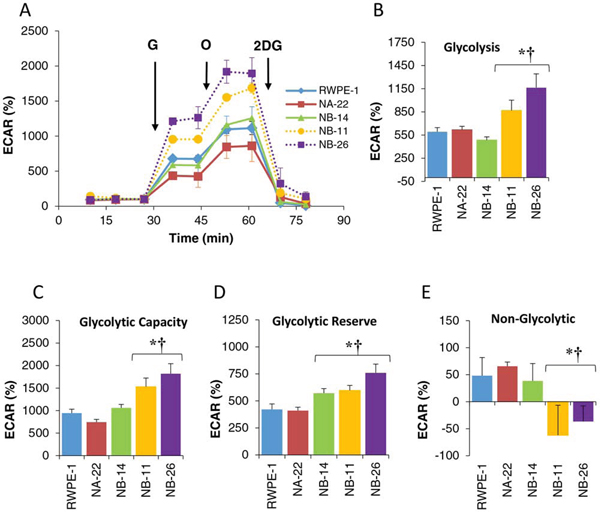 Glycolytic profile of RWPE-1 and its clones analyzed by GlyST.