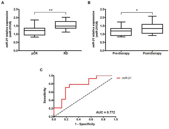Overexpression of miR-21 in HER2-overexpressing breast cancer is associated with trastuzumab and chemotherapy resistance.