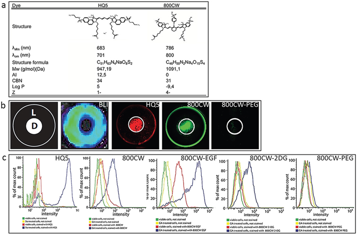 Physicochemical characteristics and in vitro examination of the necrotic avid properties of the near infrared fluorophores (NIRF) HQ5 and 800CW.