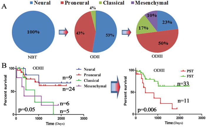 TCGA subtypes were associated with OD grades.