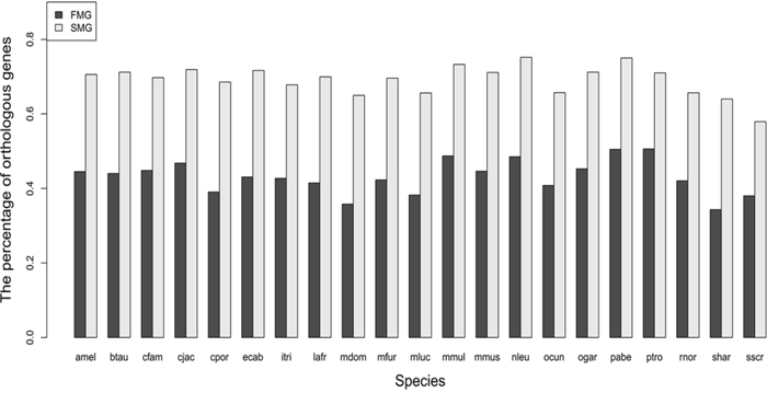 A bar chart comparing the percentage of orthologous genes between SM and FM genes.