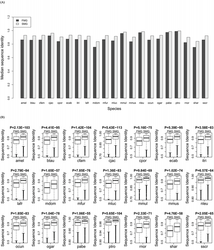 Comparison of the sequence identity between SM and FM genes.