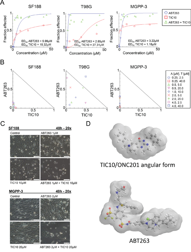 Combined treatment with the BH3-mimetic ABT263 and the ERK inhibitor TIC10/ONC201 yields a synergistic antiproliferative effect across different glioblastoma cells.