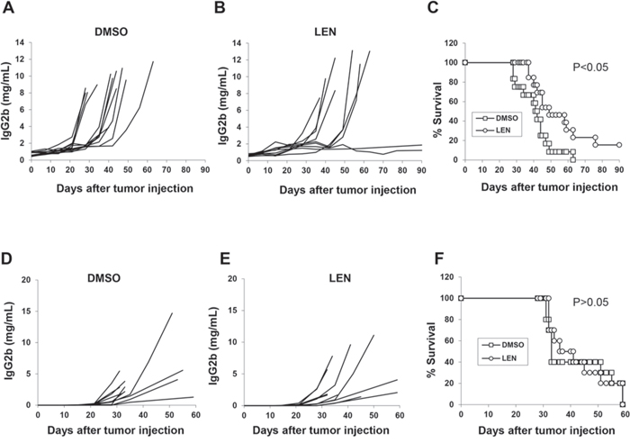 In vivo effect of lenalidomide in myeloma-bearing mice.