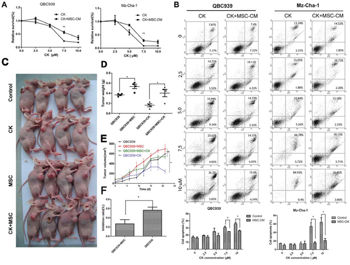 MSCs decrease the effects of Compound K on cholangiocarcinoma.