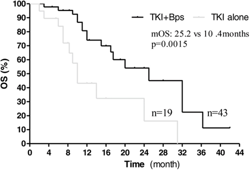 Kaplan&#x2013;Meier curves showing overall survival, stratified by the use of bisphosphonates.