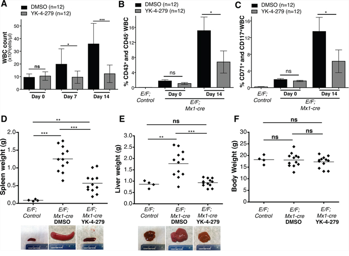 YK-4-279 antagonizes EWS-FLI1 driven erythroleukemia.