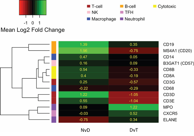 Heatmap indicating the average log2 fold change in expression (yellow values) of commonly used immunohistochemical markers for different immune cell types, as per the left hand colour key and top-right legend.