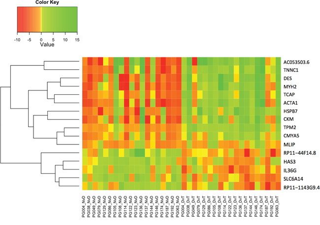 Heatmap indicating log2 fold change (Value) for the only 16 genes that are differentially expressed in both the NvD and DvT, but not the NvT pairwise comparison.