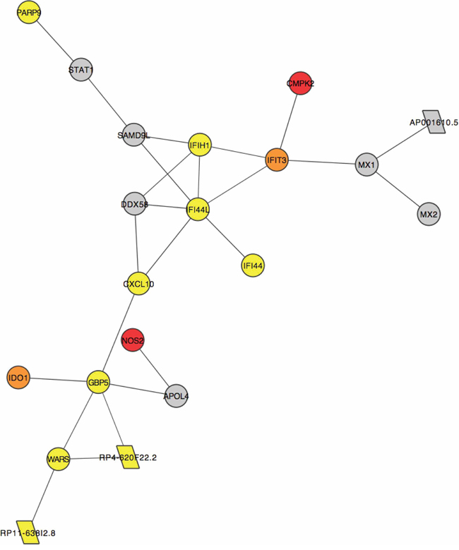 A subcluster of genes that are significantly positively correlated (correlation coefficient &#x003E;0.95) across all samples in our data.