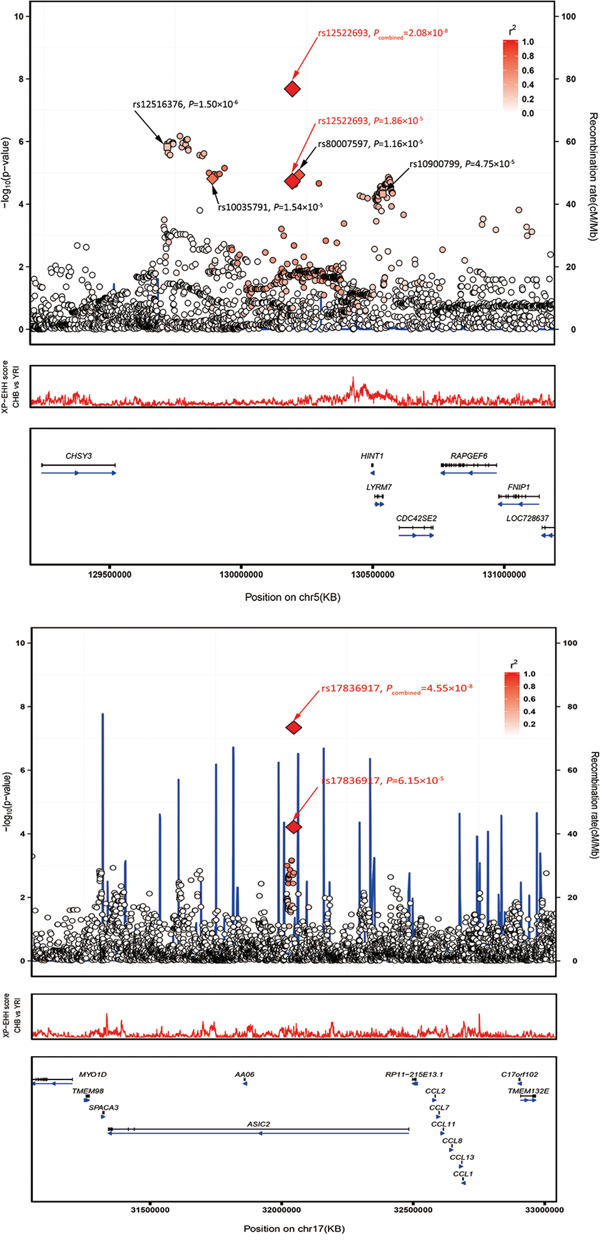 Regional plots of the two marker SNPs associated with CRC.